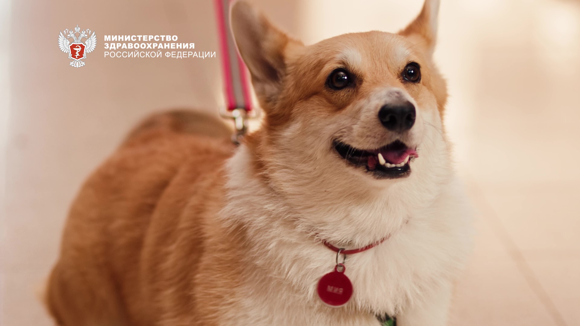 Начни с нами