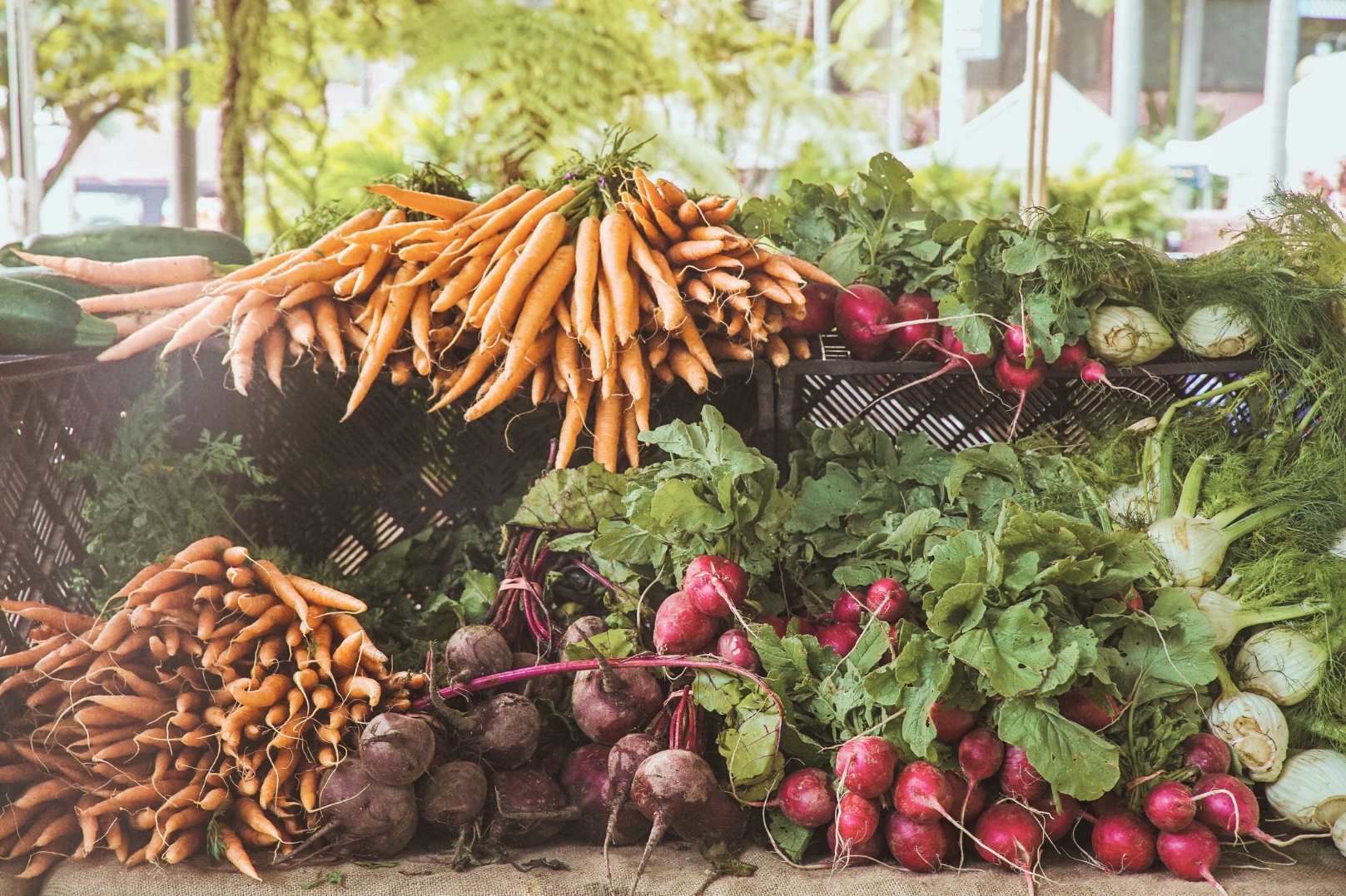 Полезная зелень: неожиданные источники важнейших элементов питания