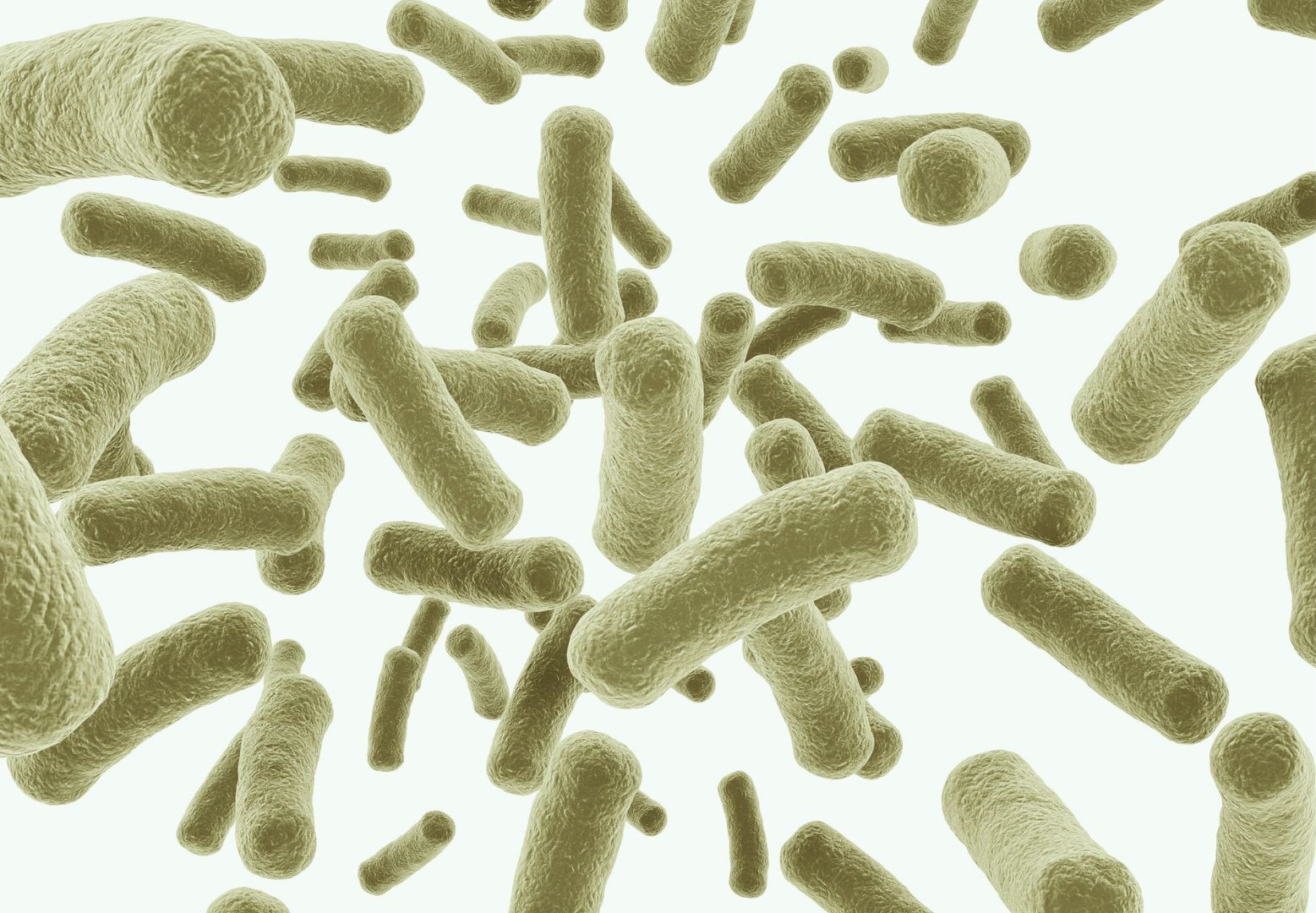 Что такое ботулизм и в чем его опасность