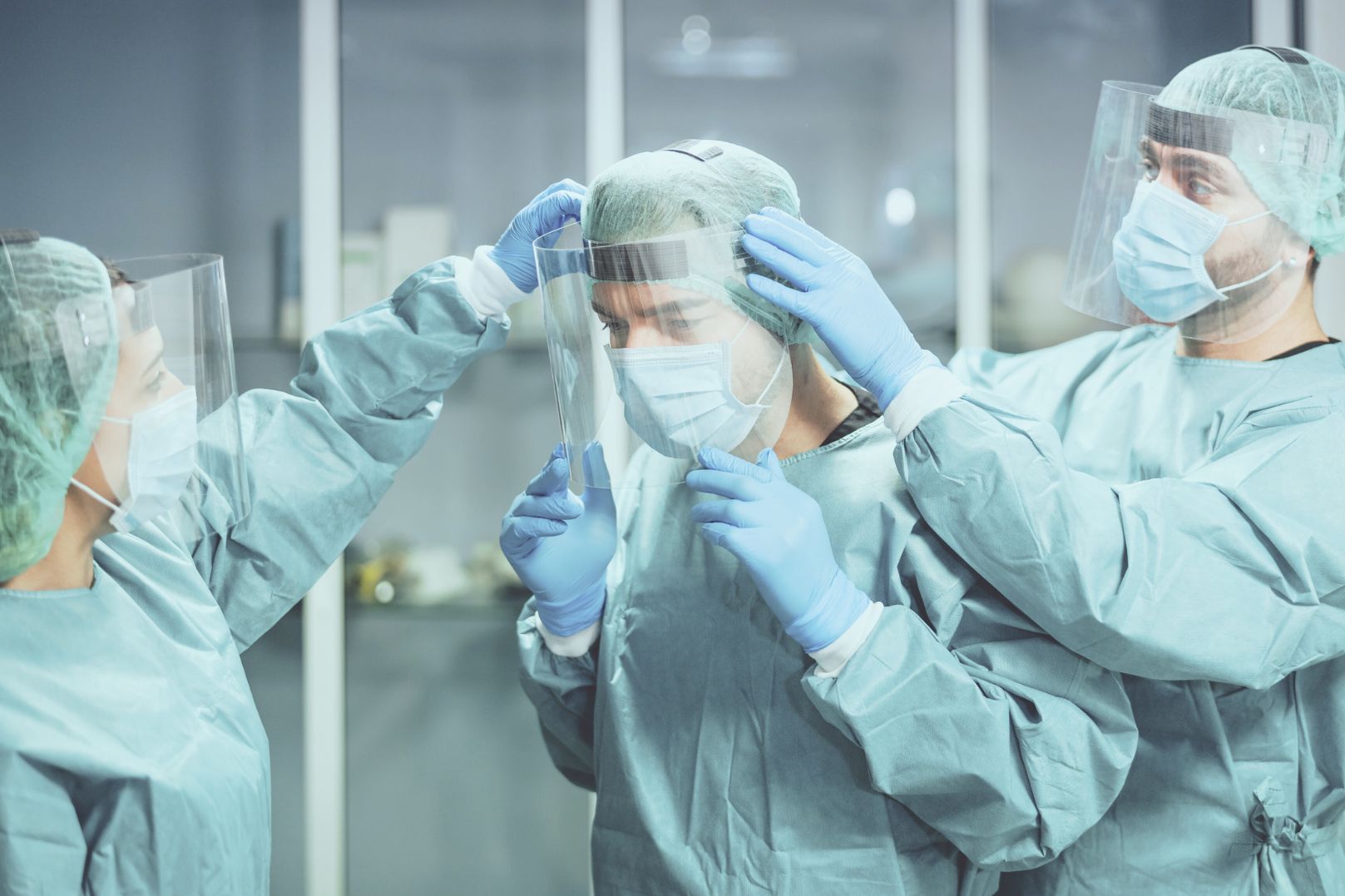 Инфекционные заболевания в мире людей