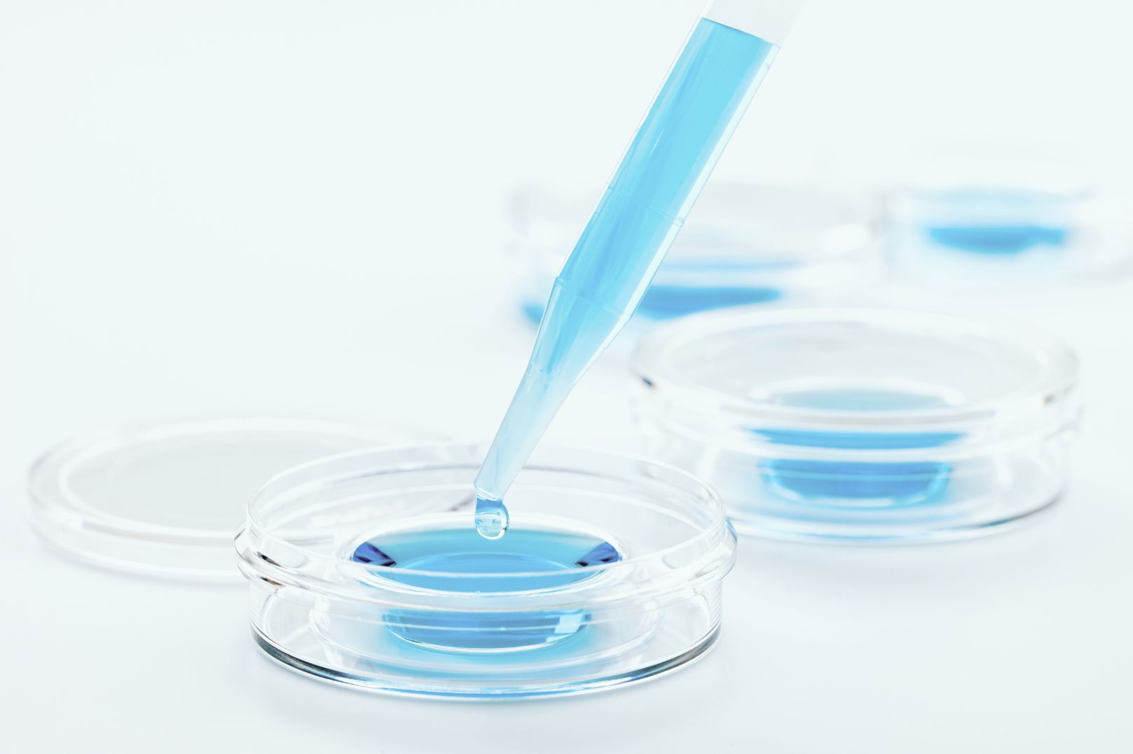 5 мифов об ЭКО