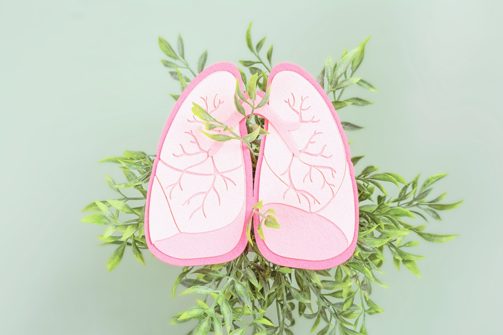 Всемирный день борьбы с пневмонией